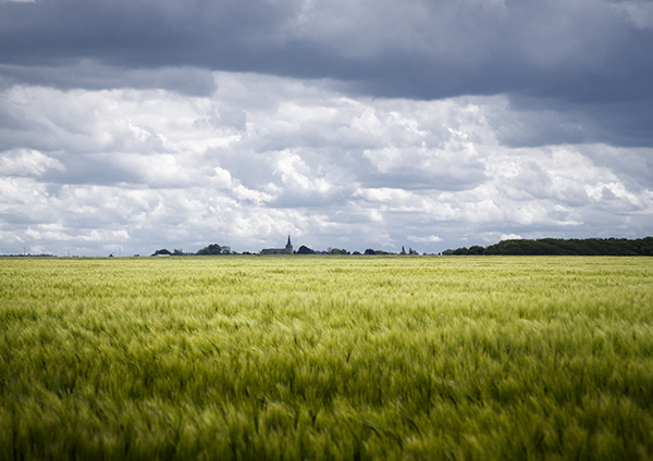 2 cg76 le tilleul valeuse dantifer 3