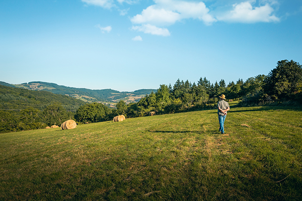 aamiot rgsf solutre 1425 copie