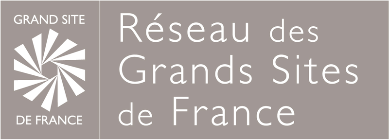 l logo rgsf final