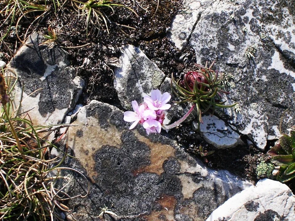 2012 05 23 15.42.38.jpg