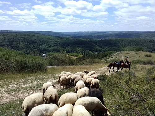 vallee vezere afp cechappée pastorale